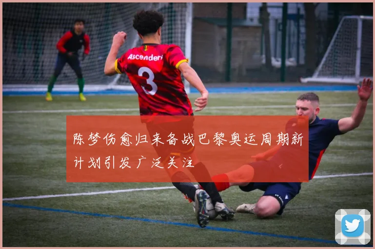 陈梦伤愈归来备战巴黎奥运周期新计划引发广泛关注