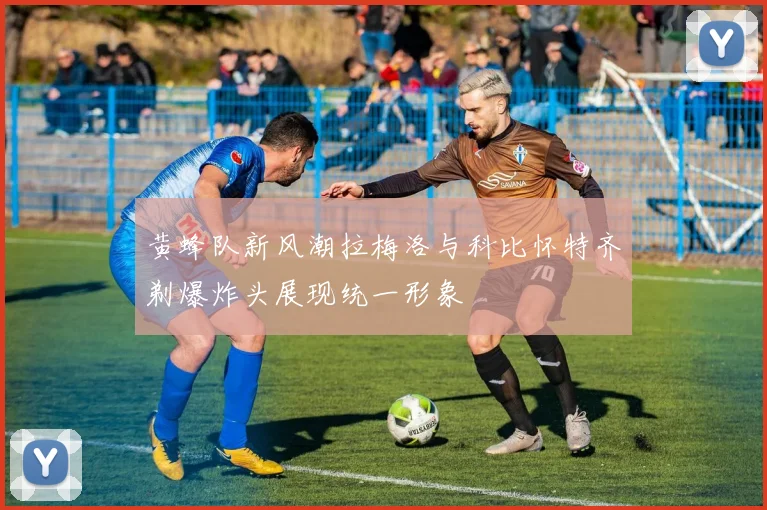 黄蜂队新风潮拉梅洛与科比怀特齐剃爆炸头展现统一形象