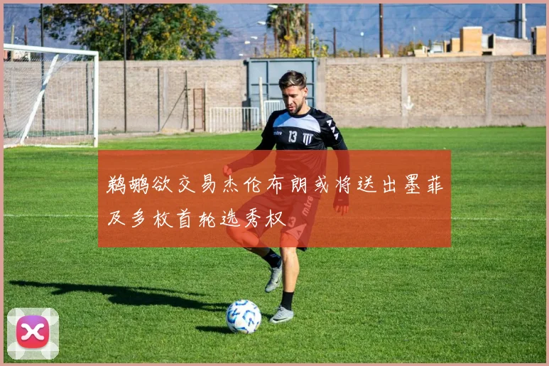鹈鹕欲交易杰伦布朗或将送出墨菲及多枚首轮选秀权