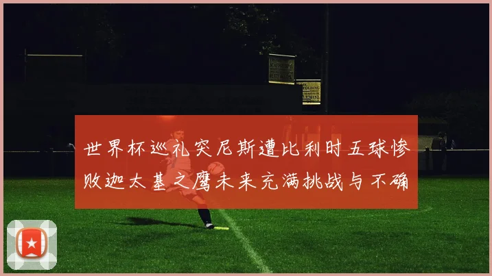 世界杯巡礼突尼斯遭比利时五球惨败迦太基之鹰未来充满挑战与不确定性